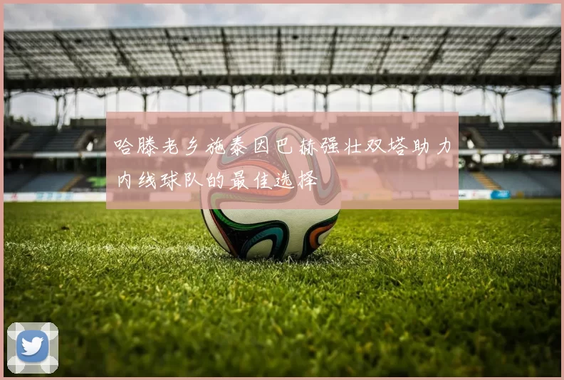 哈滕老乡施泰因巴赫强壮双塔助力内线球队的最佳选择